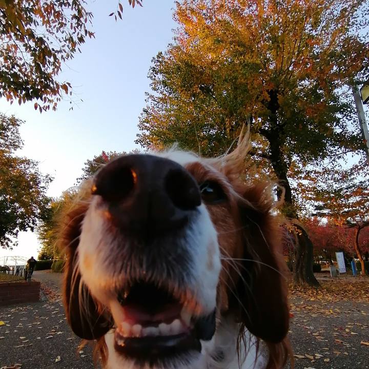 Adf6328b 7036 4058 8581 a69cb0cc8945 1605180191252