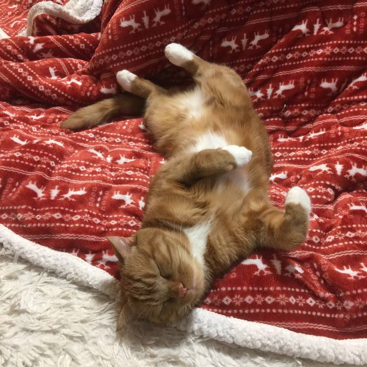 Adf634a1 39e9 46eb 9781 9e689a6b3efd 1586603893927