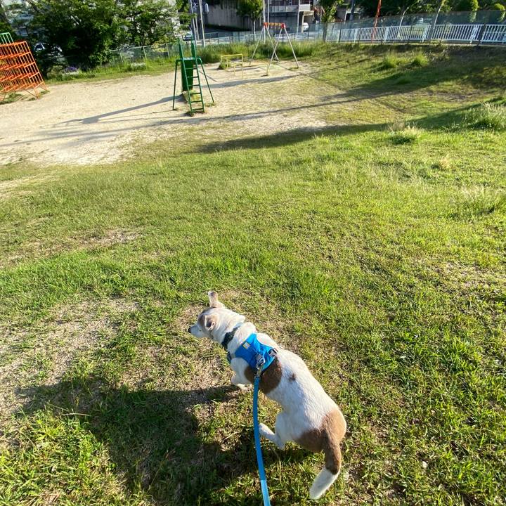 Adf635e0 ed04 4db5 ae13 f1efa05a56db 1715986172358