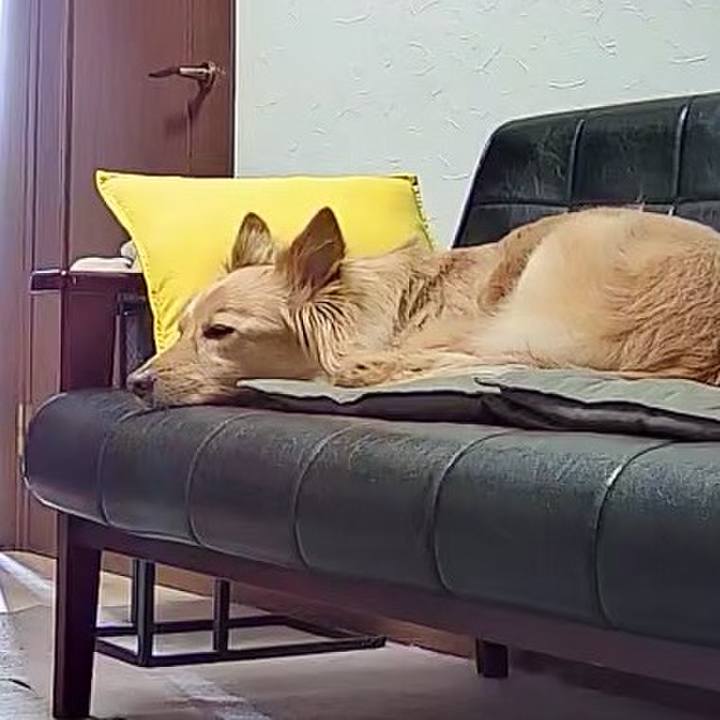 Adf639cf bdd4 4597 8870 6d21e697e7c0 1774762479502