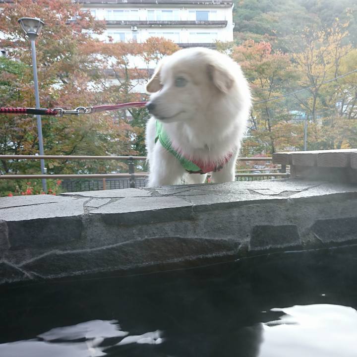 Adf6bc6c 0fea 4710 b3a3 a8e2a0ebde6a 1509055020114