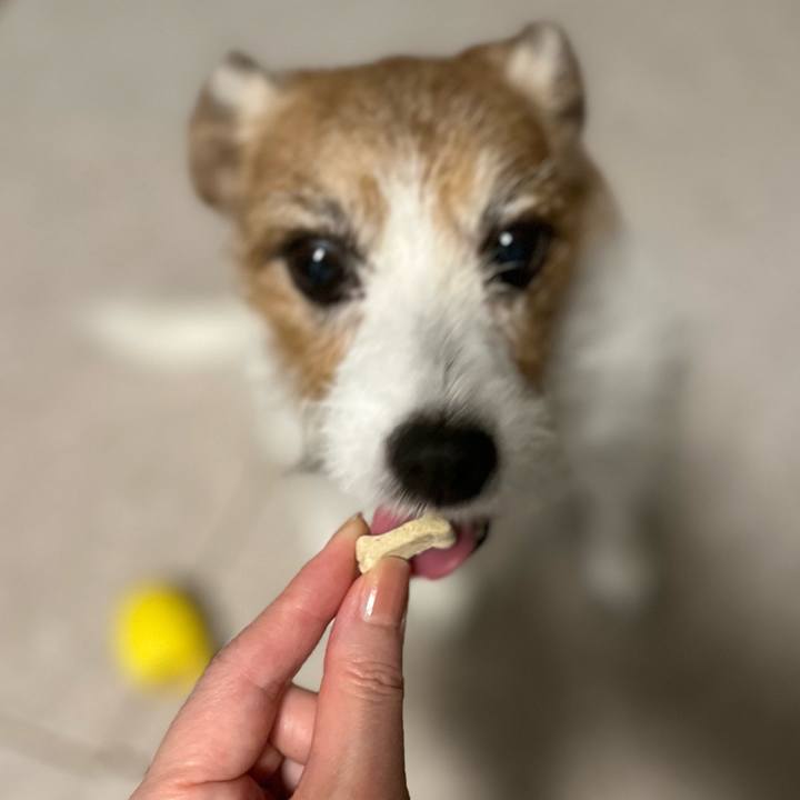 Adf6f1b0 6e99 46fe a9a3 ceb51a2bae68 1701171473502