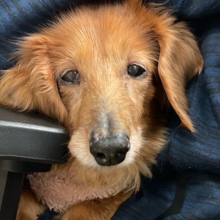 Adf6f899 6465 43f5 b460 0e2a573e53c1 1644666945057