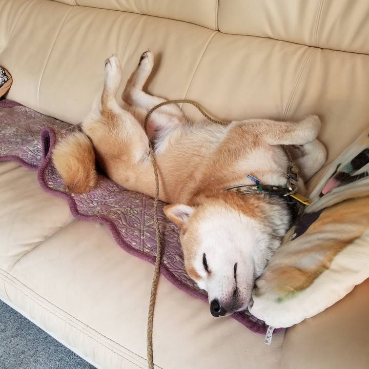 Adf72540 decf 456e a2a8 0fe00940043c 1627522868715