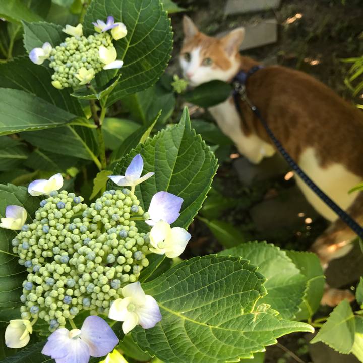 Adf73794 b219 4d08 85ed 48f0cb7b57f0 1530321610100