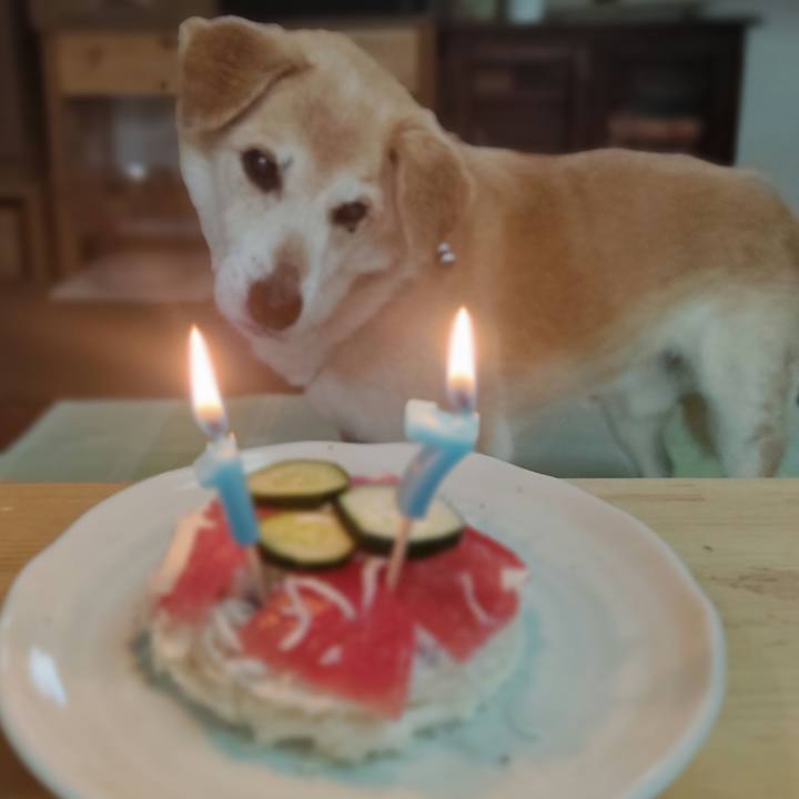 Adf744c8 39d8 4fb0 a1d5 07ea5bfae856 1655450235444