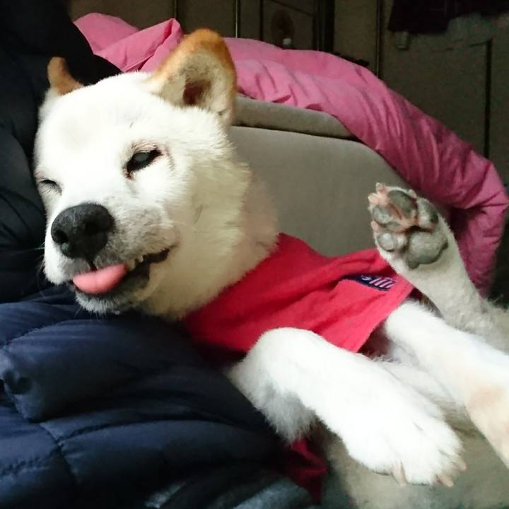 Adf76718 86da 42fb 8f80 d39aeb02484b 1570443140707