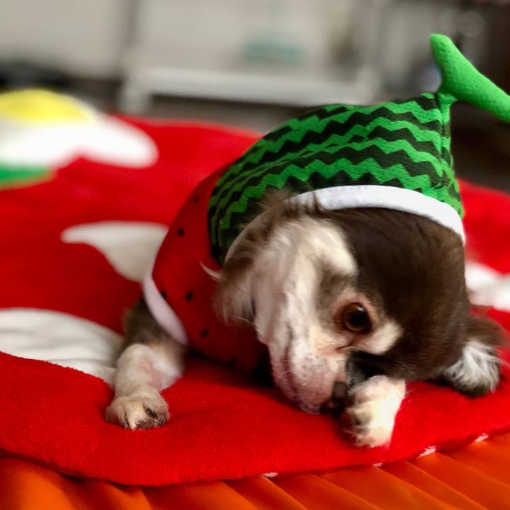 Adf77f25 e617 46c0 970e 78c51be475f7 1531660866231