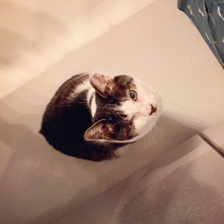 Adf7d364 5206 414a b16e 8d453637b296 1585847945925