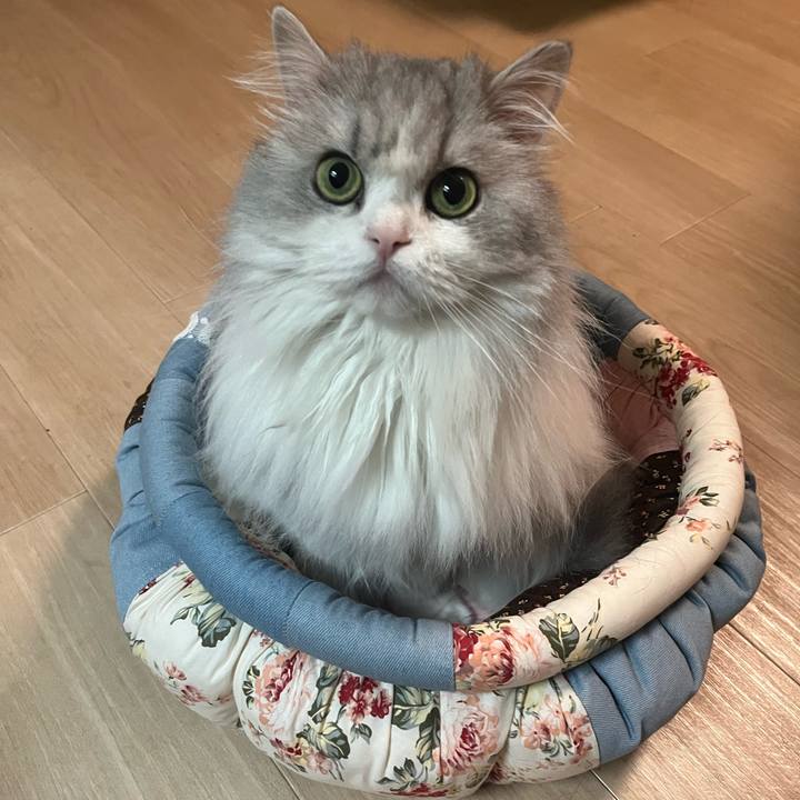 Adf7da69 a897 4ecf 939e d8d3c9cd79db 1734788507730