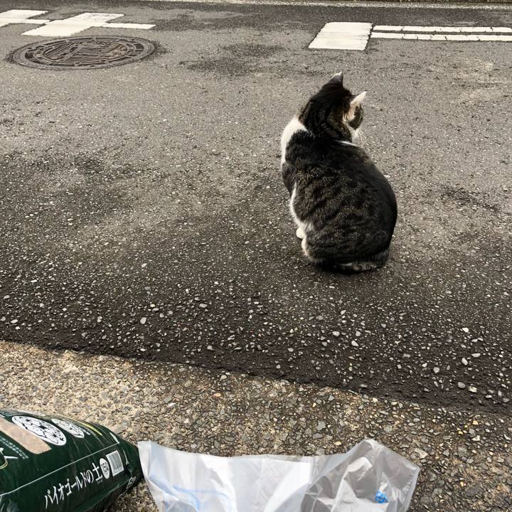 Adf7f5ad 5ec1 445a 874a af63ed3253b4 1516420505664