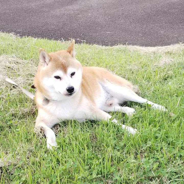 Adf80fb3 ee48 463e 8e9d e06a808437da 1631777979781