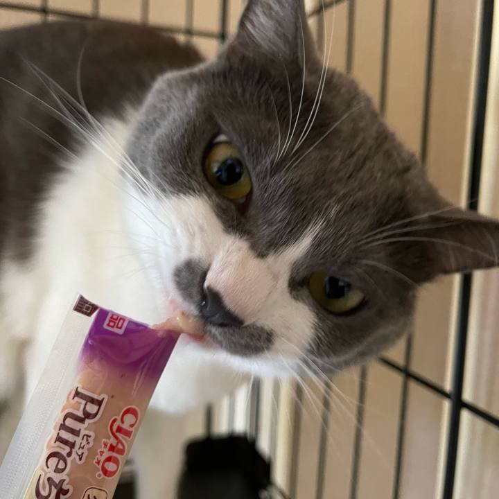 Adf81286 439a 4b09 a021 0b605b3951ac 1663311095196