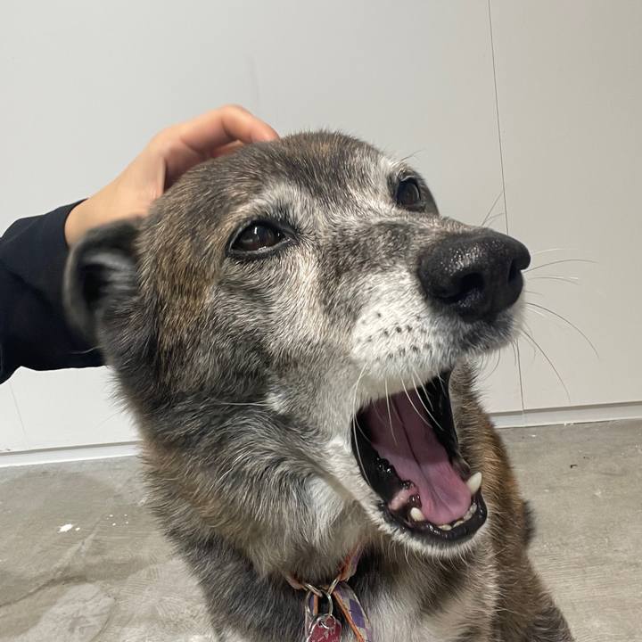 Adf81ee6 d441 45ba b28d 3c0157abf178 1700468353386