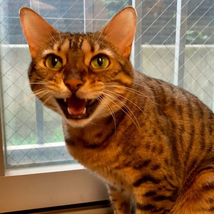 Adf881b5 81d9 4ac1 a477 17b8403f7c1a 1566602039414