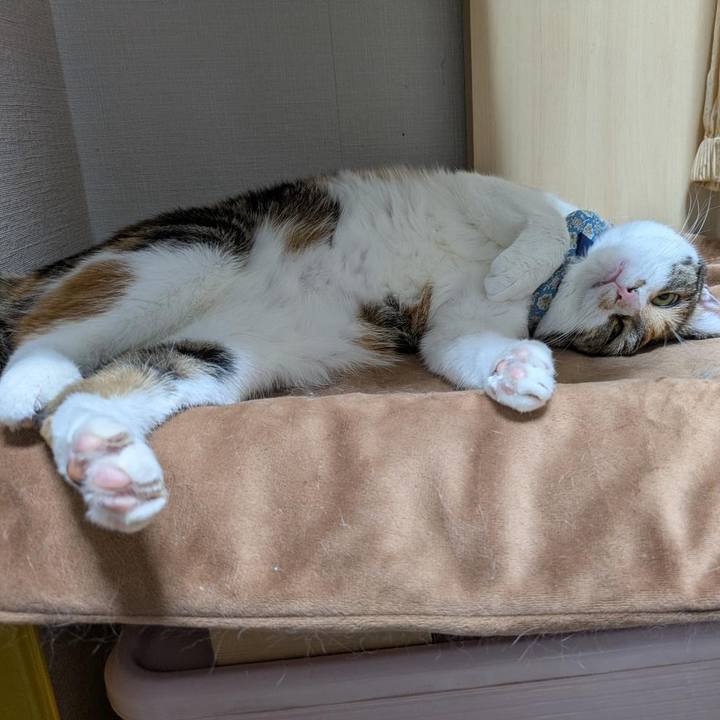 Adf8851e 6b66 4e9d a48f 36a611bc705a 1766614342064