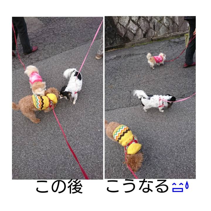 Adf89adf c97a 4871 a475 4a1a0494a25b 1516334817348