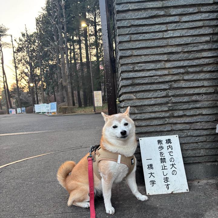 Adf8a5c1 3314 427c bfc1 ab48154740de 1742684013988