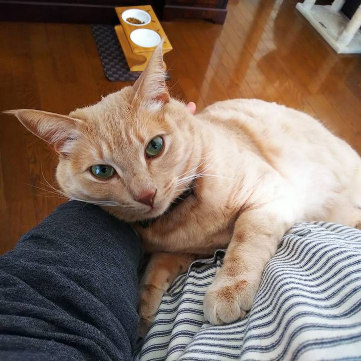 Adf8af71 6b56 4cc3 bbbd a6a435d71b9d 1645580464228