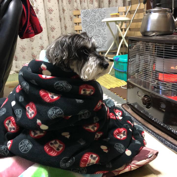 Adf8c11d 0c90 4451 9002 4706d2d25dfe 1516886118517