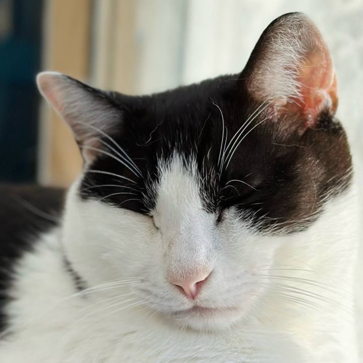 Adf8fd96 20d6 4eac b46c 80c606ee85a5 1670290978327