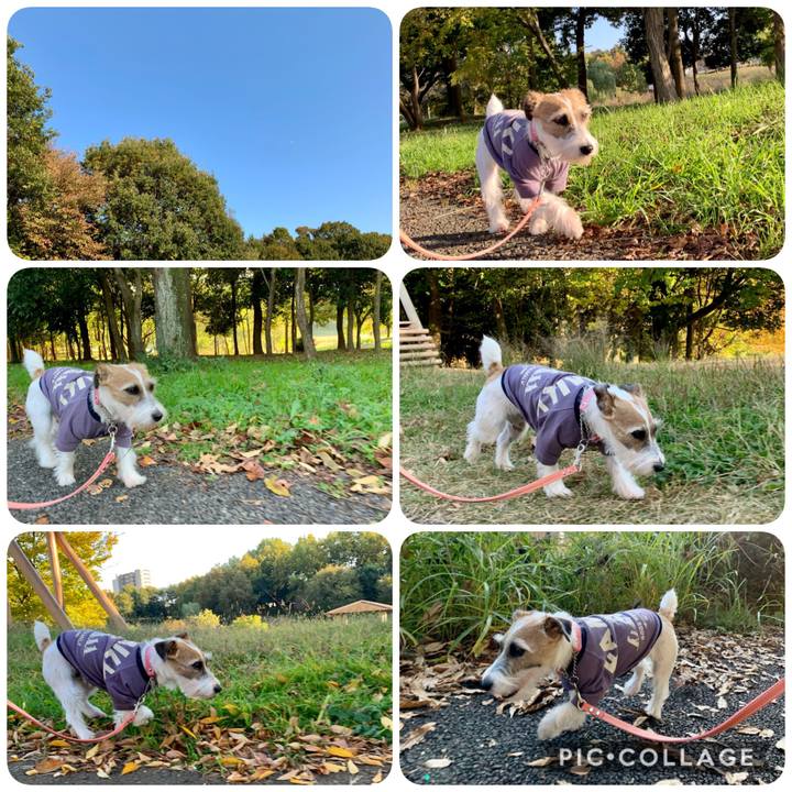 Adf90194 a74f 4e5c 8b34 587deaf28a3e 1605253941587