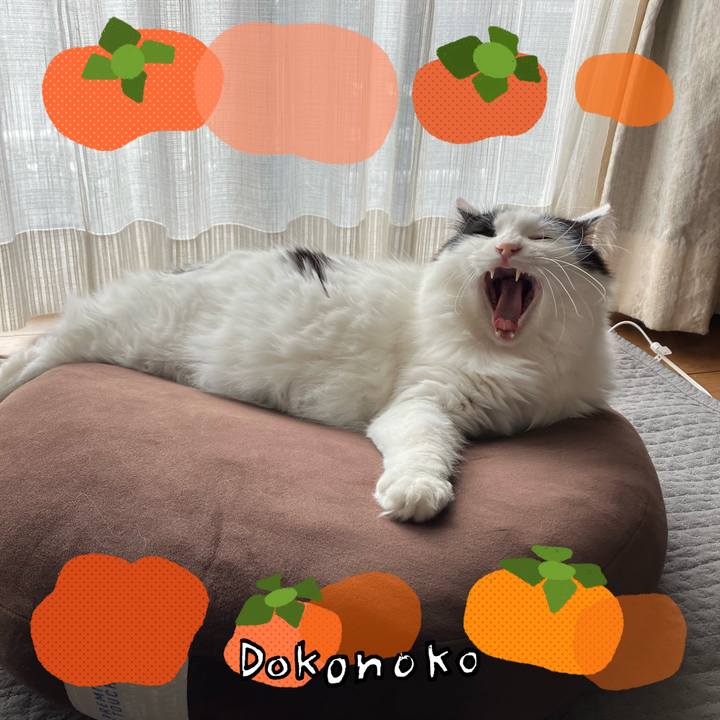 Adf97ebb 0eeb 4849 8c99 e296eedbe399 1762219048021