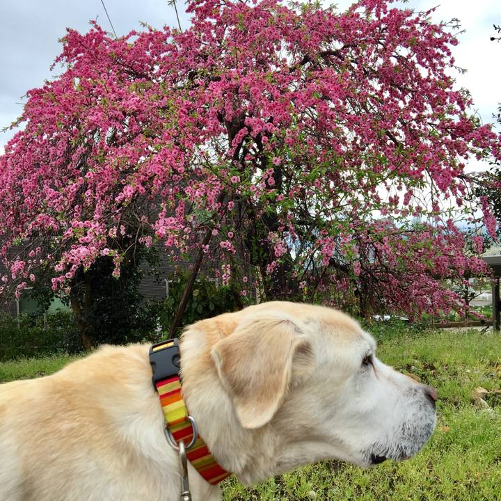 Adf985cb 8889 4c70 a2df 8089976e434f 1524621750712