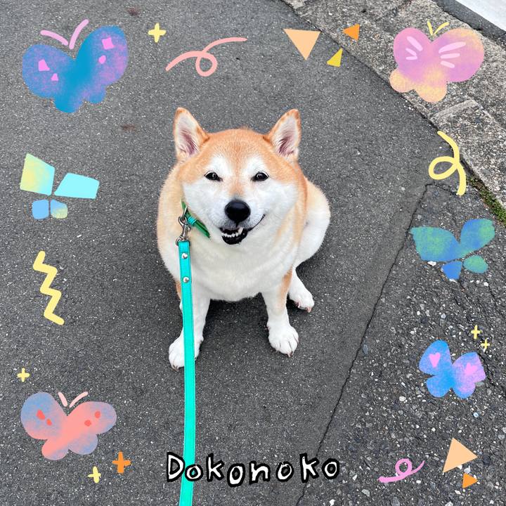 Adf98a3a 0723 4fe5 9989 0a27299172d4 1711040595798