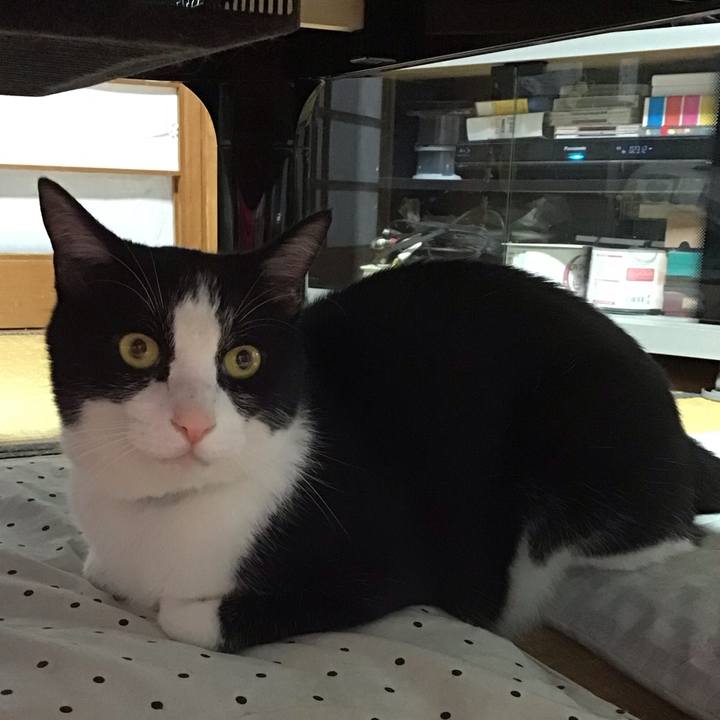 Adfa0f35 d3f7 4d3a b9bf d129cbefc04a 1688216426099