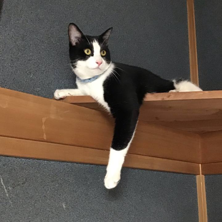 Adfa2135 09a6 448a 94e5 229667550a29 1660647526709