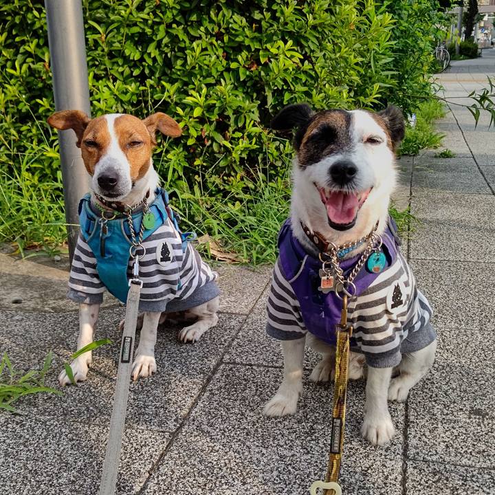 Adfa46f0 81f2 45ea 8aa9 97ec868902b7 1658353070988