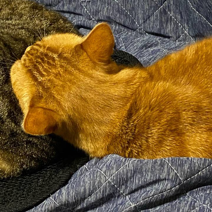 Adfa577e 9fe6 48c3 928c 4fc9e9f30e16 1621529291395