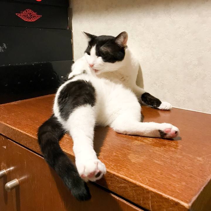 Adfa7074 5628 4e8a 9283 4ec5b021a0e2 1523759225502