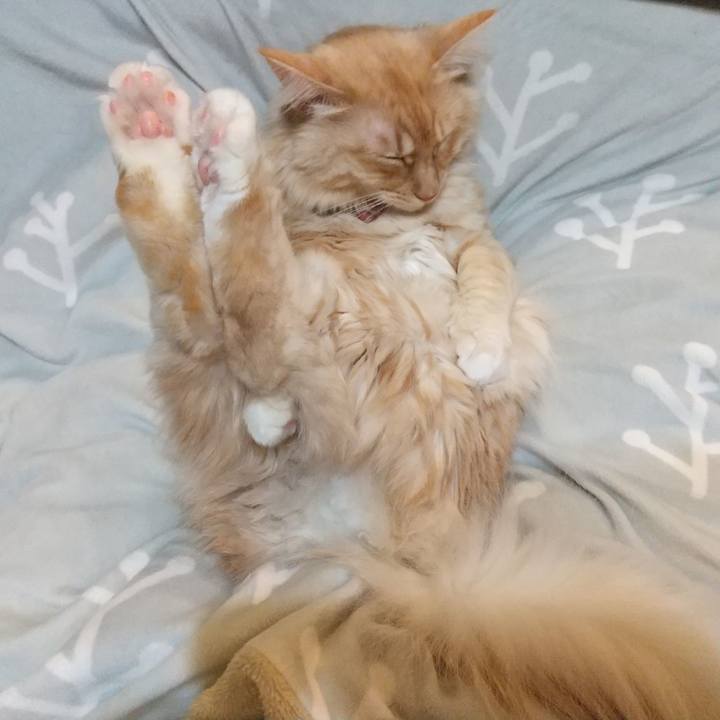 Adfa7ac8 788b 4af5 815d 0cba3bdd6378 1641050029636