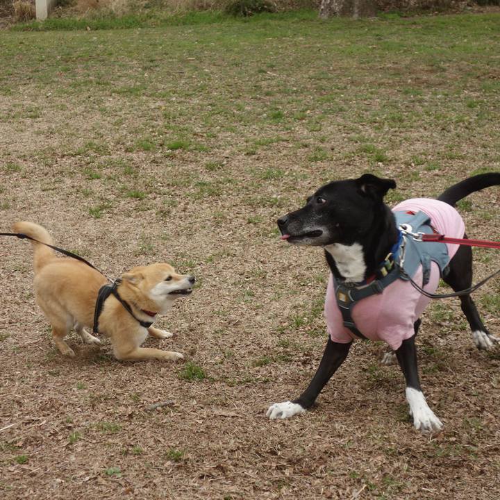 Adfa9831 8569 40b3 9d09 fc69ceb3b8d2 1709601545383