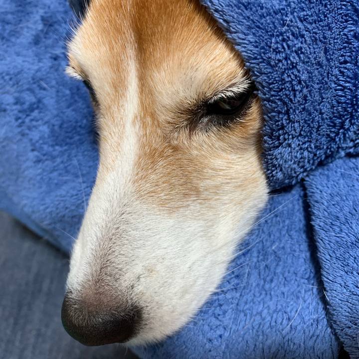 Adfa9e5e 7ad2 4e52 838f 990cfbc7533c 1552805293628