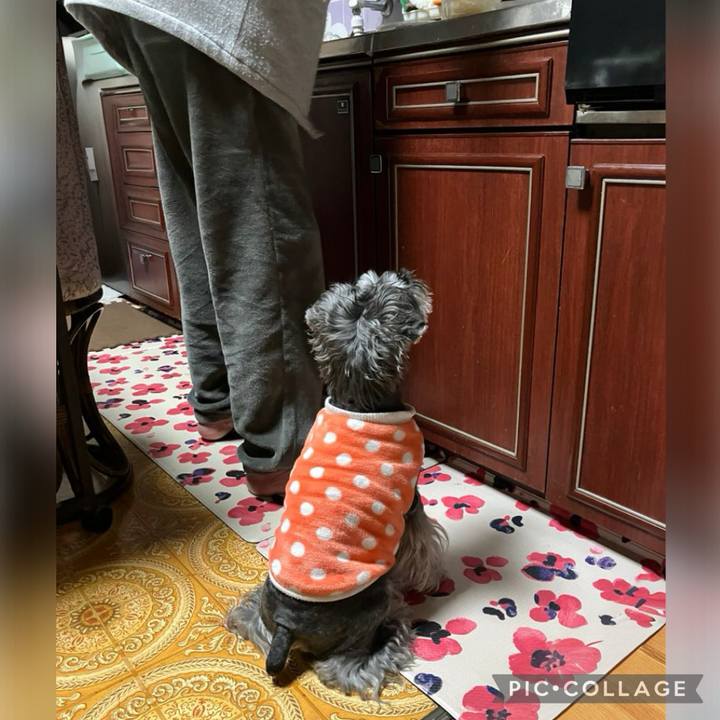 Adfaa298 ff8c 4211 a8b7 1248b2616a6f 1739707885701