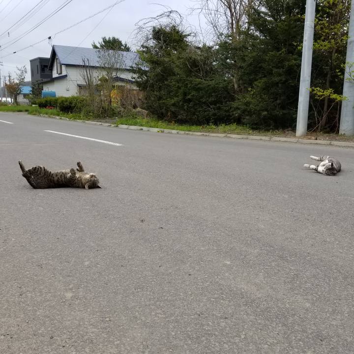 Adfad490 39da 4e8d 9a1b 886e702c5772 1589977338691