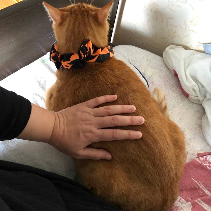 Adfaeb94 1e5b 4cdb 8ffb 01d89033d241 1570743320921