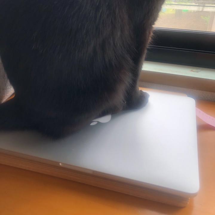 Adfaeff8 7008 4d1b b3a0 f2bd0c6c6b1f 1652315727266