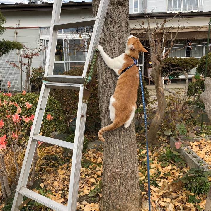 Adfb0b97 f511 4c16 8207 14a05d805cf0 1543148346787