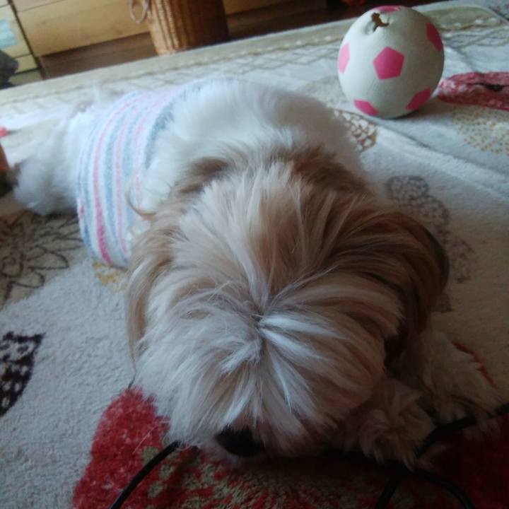 Adfb2beb f52d 461c 9b64 3f1e6b405b03 1518132741919