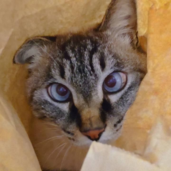 Adfb4531 bb41 4630 a7b8 ad335b6faff0 1706867786334