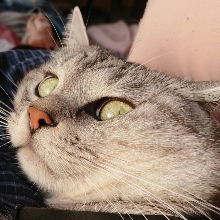 Adfb4c8c a4a6 4ad5 b9a4 fbc0bc8f4d41 1571697637631