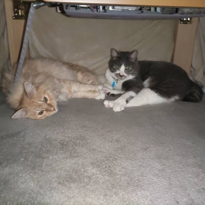 Adfb580a 62e7 41ea 8786 c94b2c9a580d 1680054318401