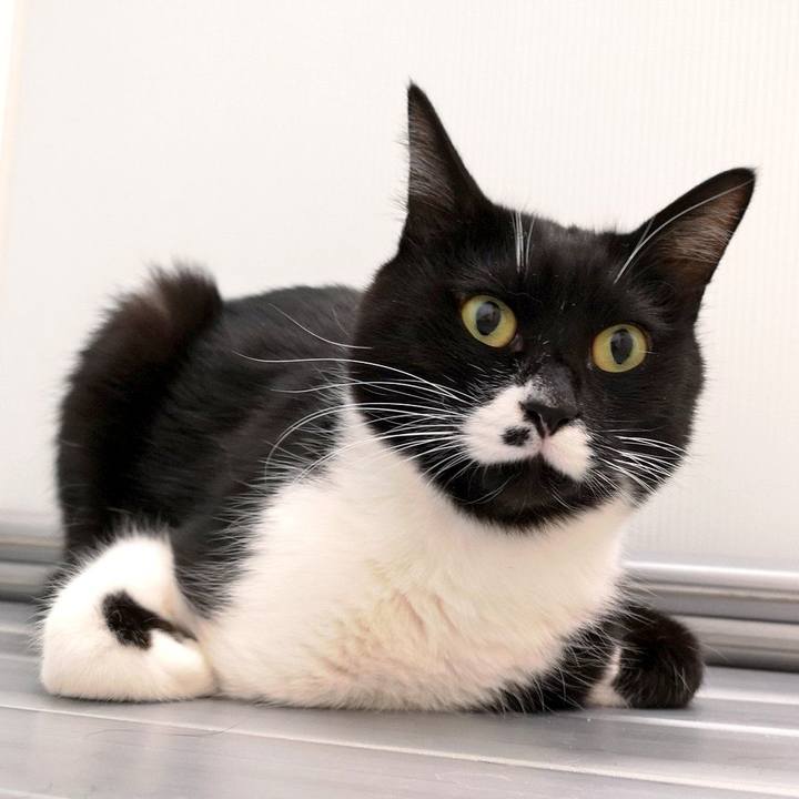 Adfbb9b0 6cad 4c79 a186 f0e15732fdf3 1550567694730