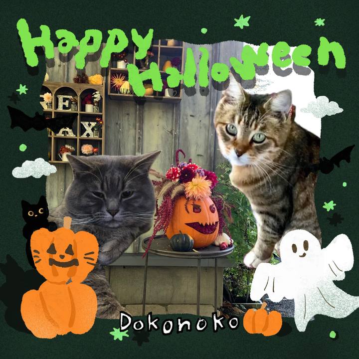 Adfbce29 6873 4361 880d ae8efce2299e 1729597635304