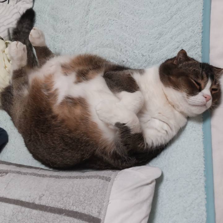 Adfbdfb4 8c0e 4ee5 9a0a 4ba76df9a95b 1619278248325