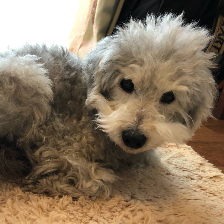 Adfc3767 6231 485d 83b6 606ed3680d99 1547185725513